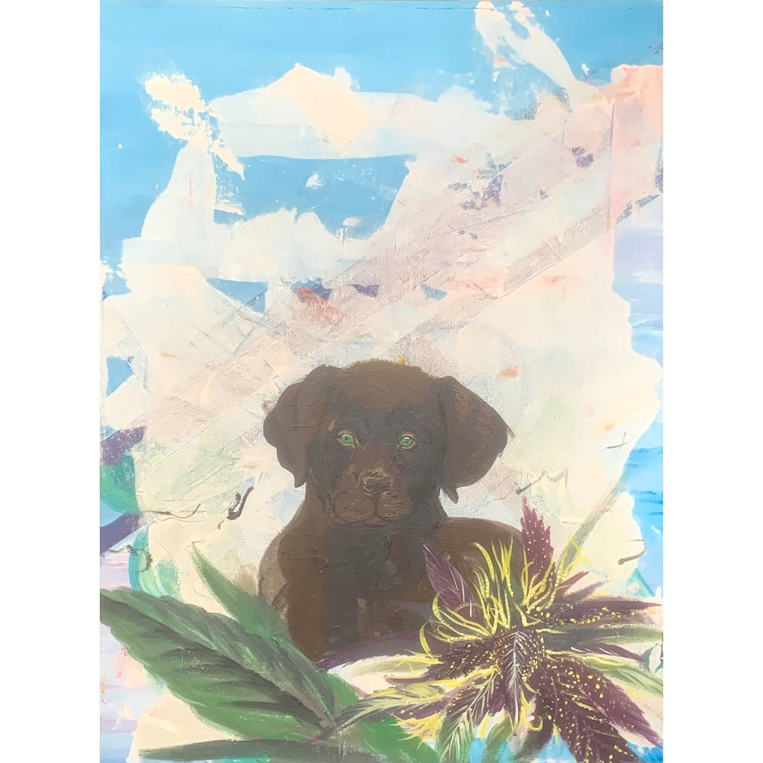 Bita-Pourkian-plant-pup