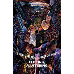 Flitting, Fluttering